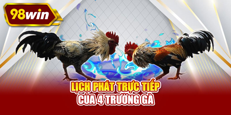 Lịch phát trực tiếp của 4 trường gà