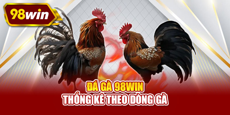Đá gà 98WIN thống kê theo dòng gà