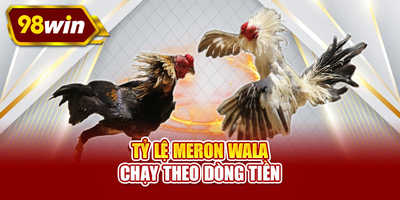 Tỷ lệ Meron Wala chạy theo dòng tiền
