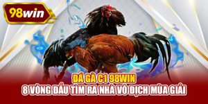 Đá gà c1