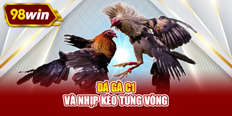 Đá gà c1 và nhịp kèo từng vòng