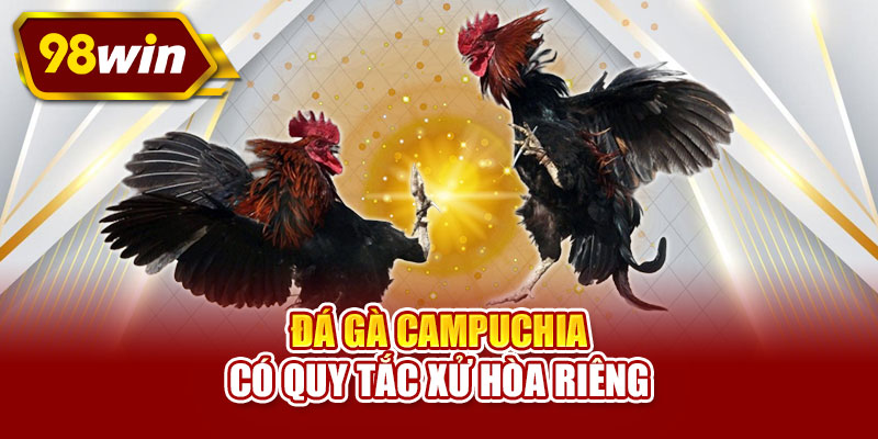 Đá gà Campuchia có quy tắc xử hòa riêng