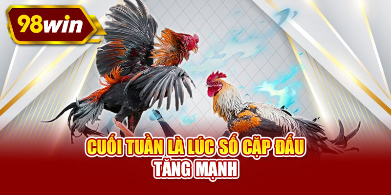 Cuối tuần là lúc số cặp đấu tăng mạnh