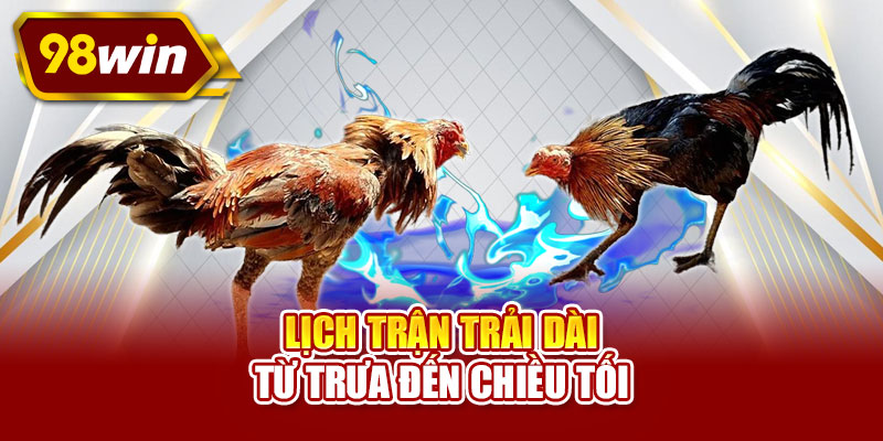 Lịch trận trải dài từ trưa đến chiều tối