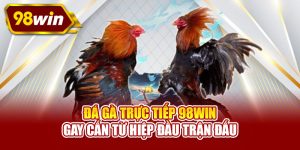 Đá gà trực tiếp