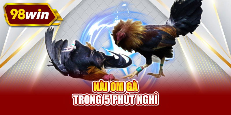 Nài om gà trong 5 phút nghỉ