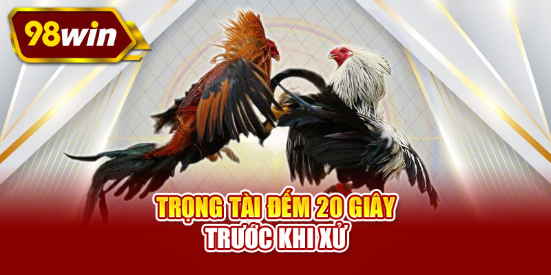 Trọng tài đếm 20 giây trước khi xử
