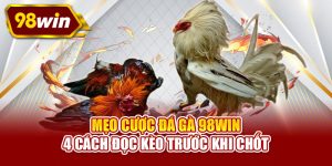 Mẹo cược đá gà